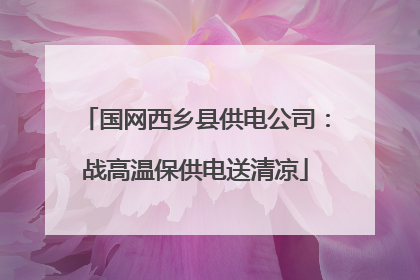 国网西乡县供电公司：战高温保供电送清凉